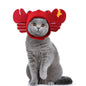 Cute Sunflower Pet Hat – Funny Cat & Dog Headgear