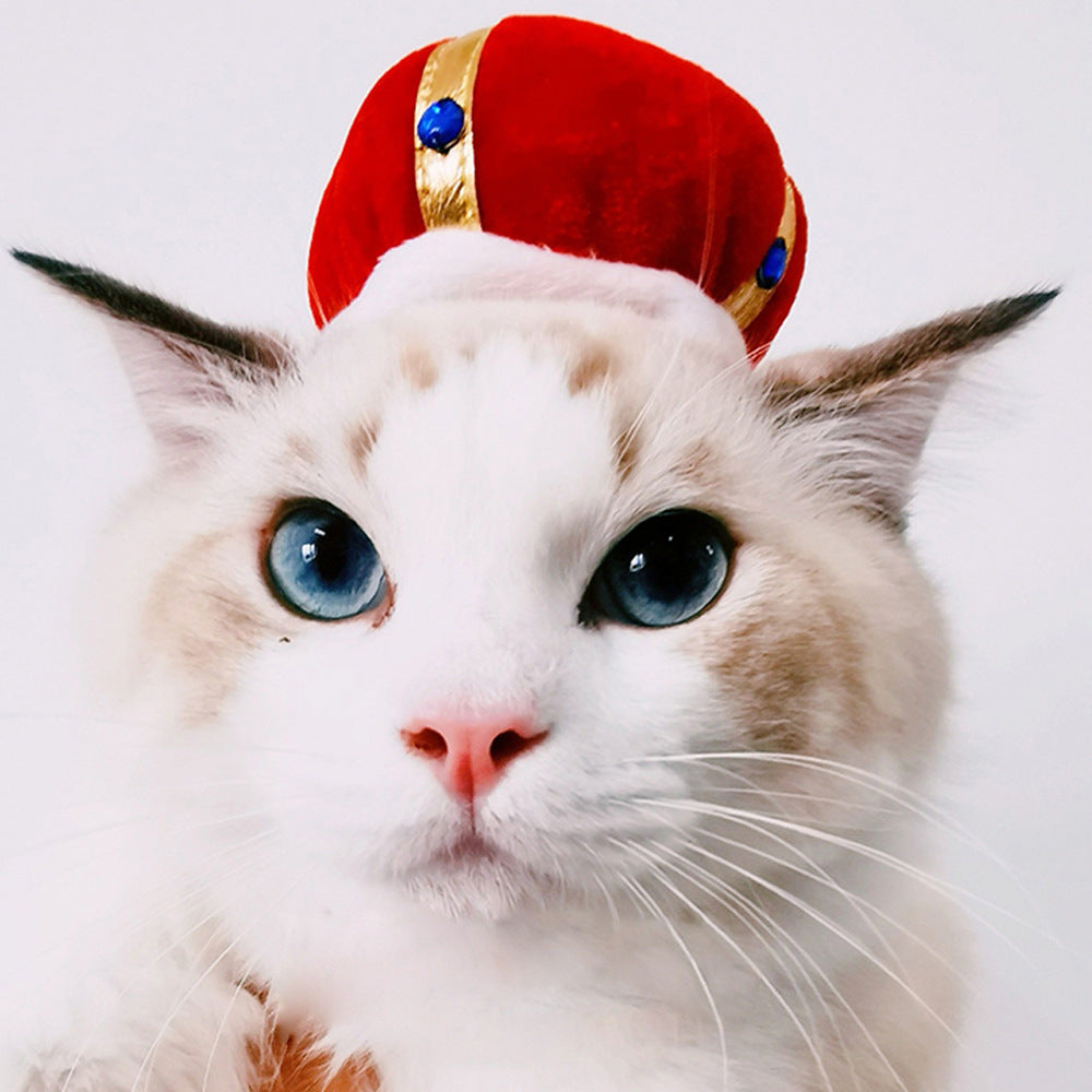 Cute Sunflower Pet Hat – Funny Cat & Dog Headgear