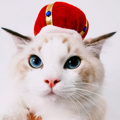 Cute Sunflower Pet Hat – Funny Cat & Dog Headgear