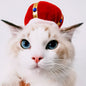 Cute Sunflower Pet Hat – Funny Cat & Dog Headgear