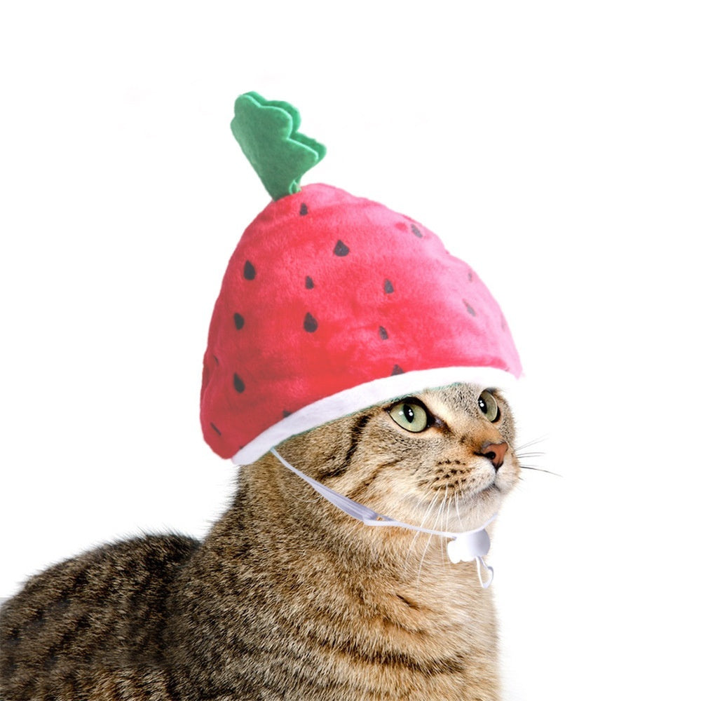 Cute Sunflower Pet Hat – Funny Cat & Dog Headgear