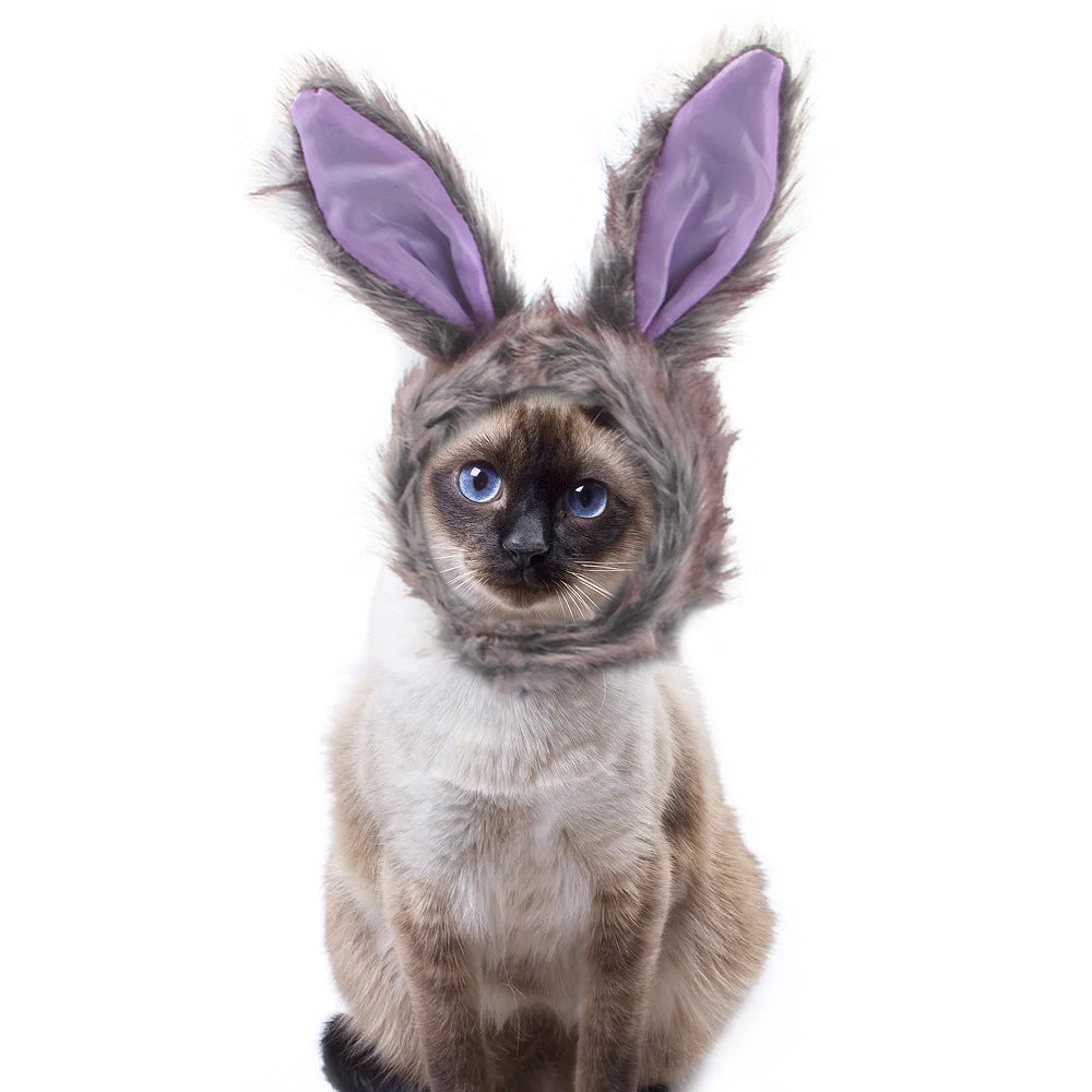 Cute Sunflower Pet Hat – Funny Cat & Dog Headgear
