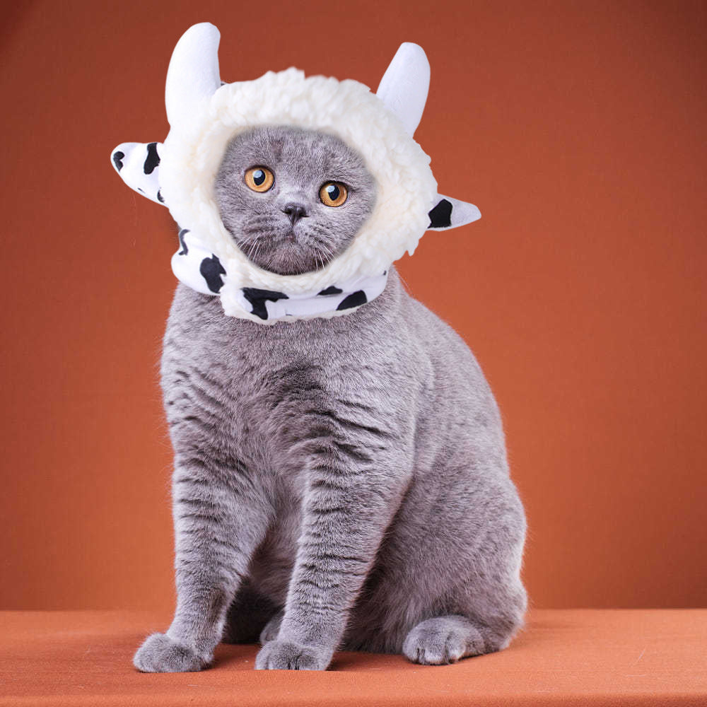 Cute Sunflower Pet Hat – Funny Cat & Dog Headgear