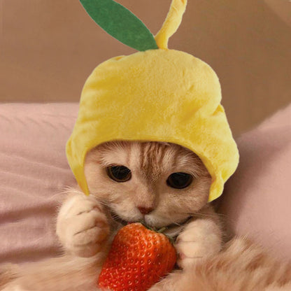 Cute Sunflower Pet Hat – Funny Cat & Dog Headgear