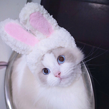 Cute Sunflower Pet Hat – Funny Cat & Dog Headgear