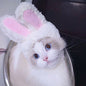 Cute Sunflower Pet Hat – Funny Cat & Dog Headgear