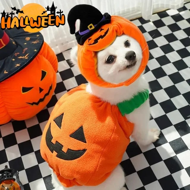 Cute Dog wearing Halloween Pumpkin Pet Vest Costume