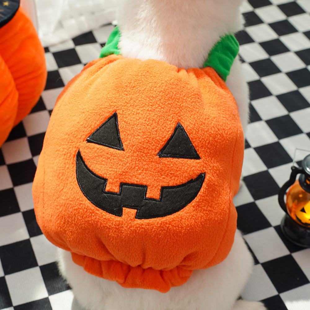 Halloween Pumpkin Pet Vest – Funny Dog & Cat Costume