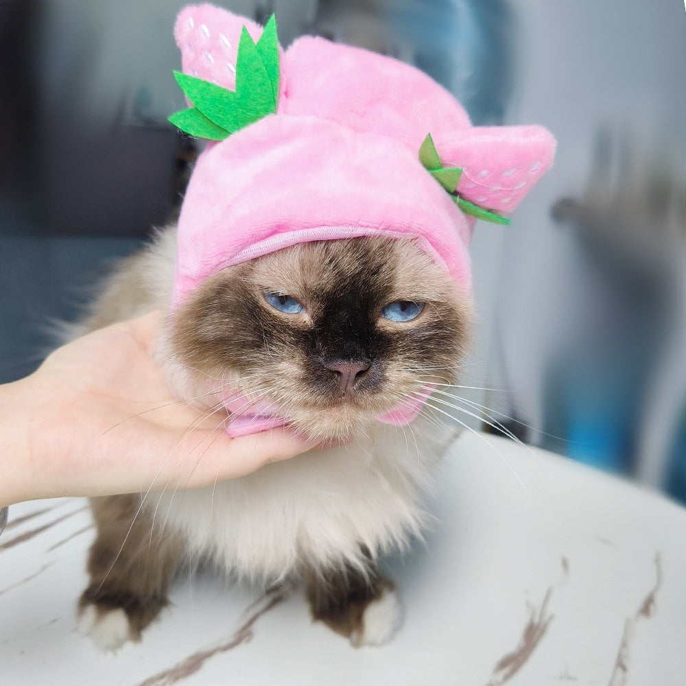 Cute Sunflower Pet Hat – Funny Cat & Dog Headgear